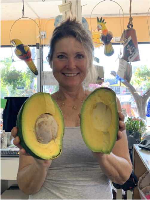 Jene Holding Avocado